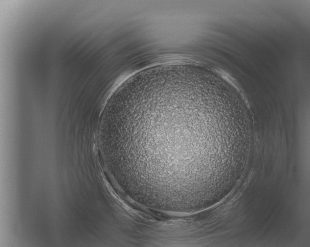 X0000056341481200509021642