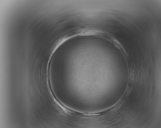X0000056341487200509021642