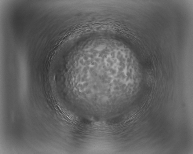 X0000056341489200509021642