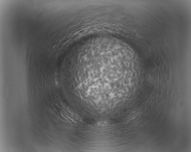 X0000056341490200509021642
