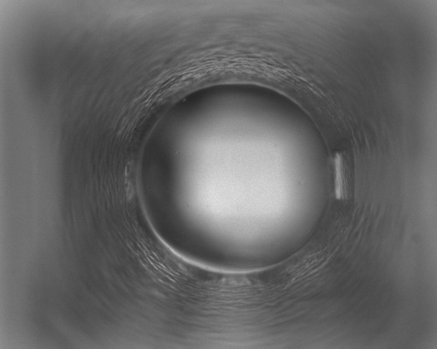 X0000056341491200509021642