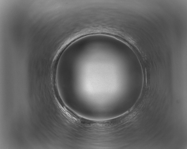 X0000056341500200509021642