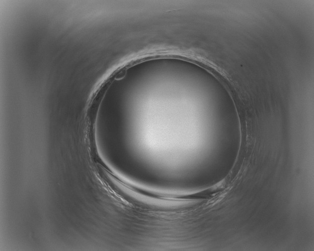 X0000056341502200509021642