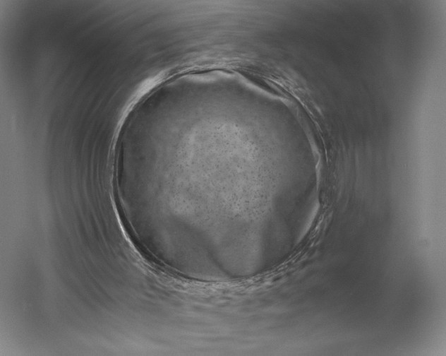 X0000056340003200509091542