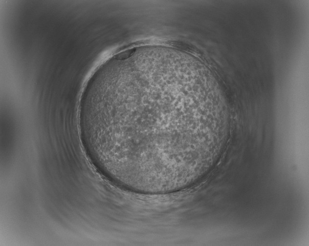 X0000056340006200509091542