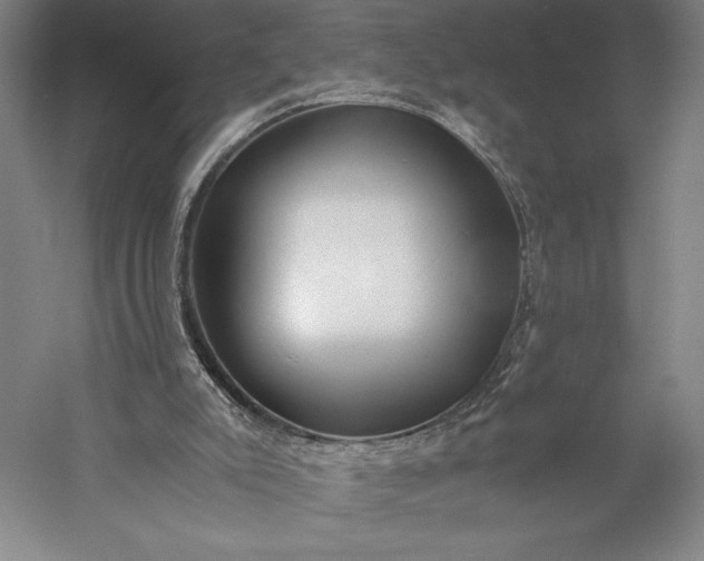 X0000056340007200509091542
