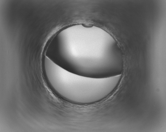 X0000056340008200509091542