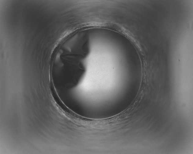 X0000056340011200509091542