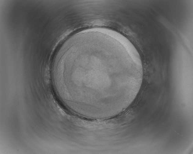X0000056340012200509091542