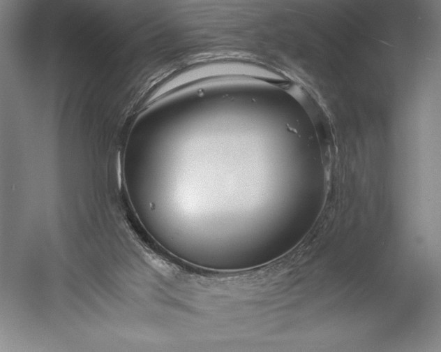 X0000056340013200509091542