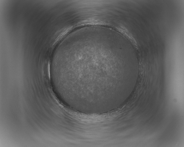 X0000056340014200509091542