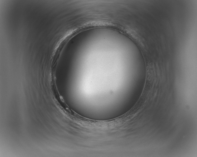 X0000056340015200509091542