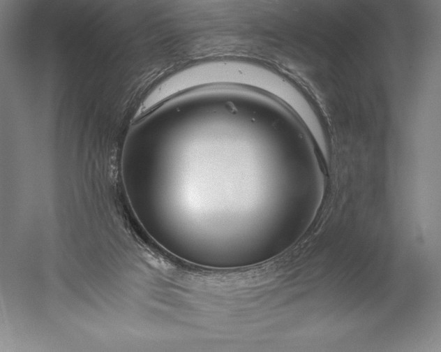 X0000056340017200509091542