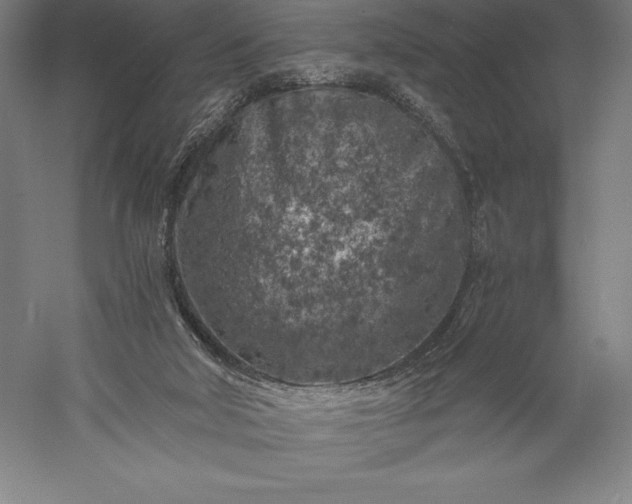 X0000056340018200509091542
