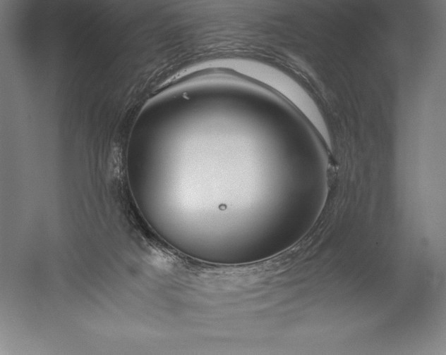 X0000056340025200509091542