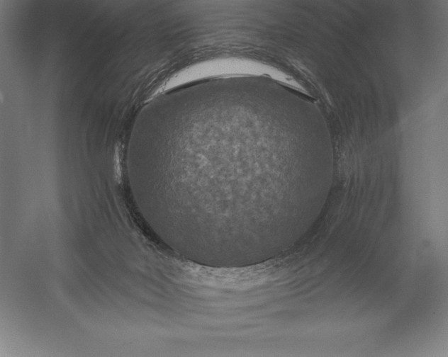 X0000056340026200509091542