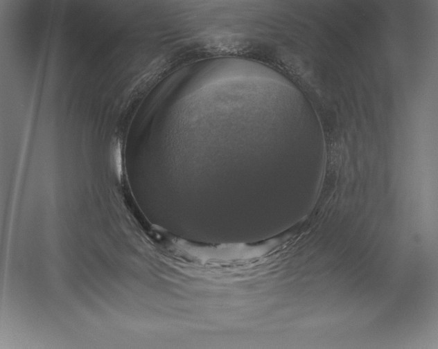 X0000056340027200509091542