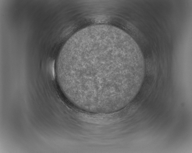 X0000056340028200509091542
