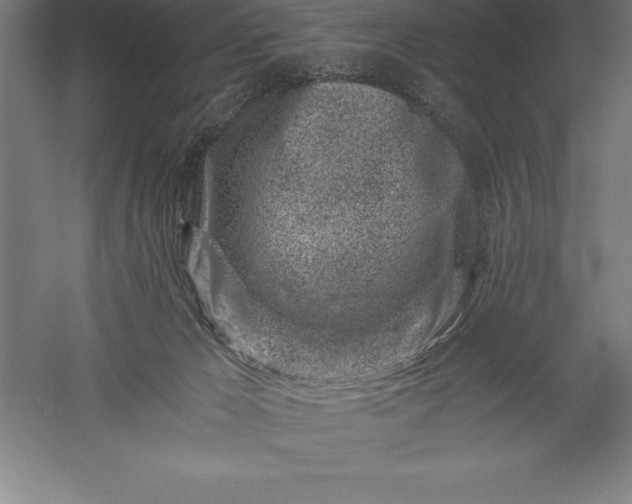 X0000056340029200509091542