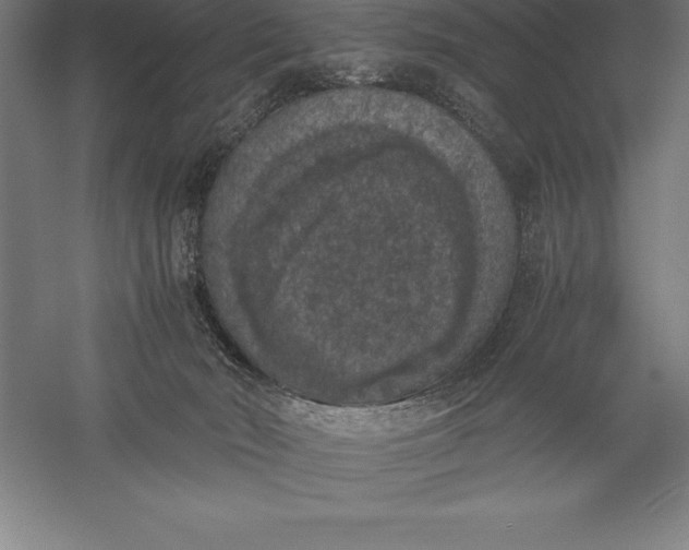 X0000056340030200509091542
