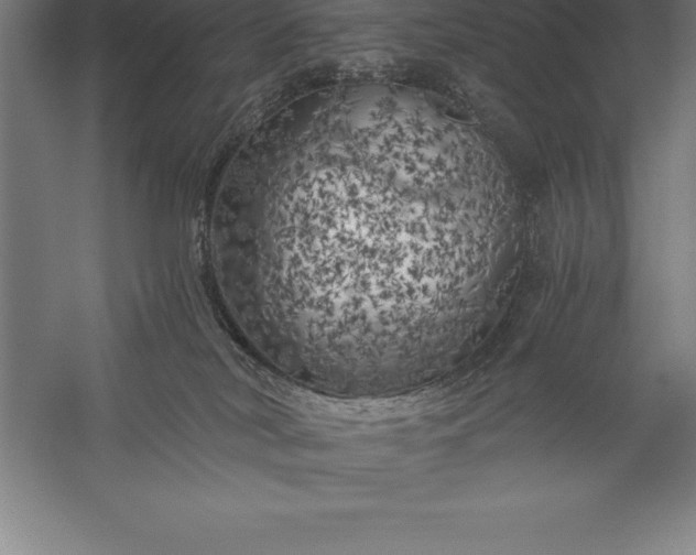 X0000056340038200509091542