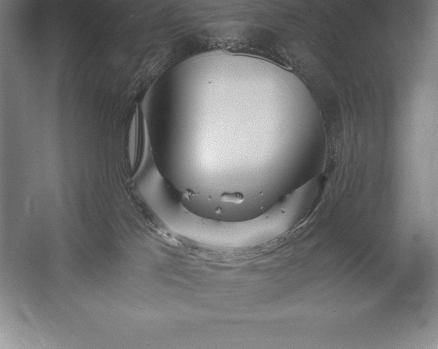 X0000056340041200509091542