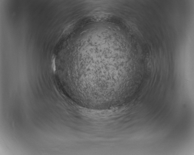 X0000056340042200509091542
