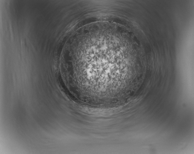 X0000056340044200509091541