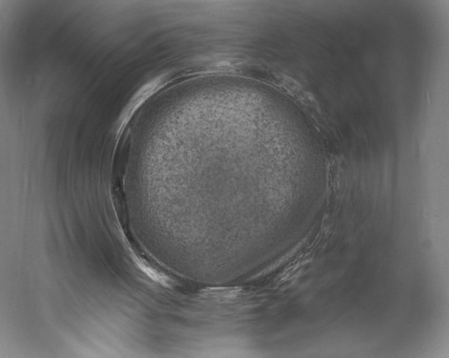 X0000056340051200509091541