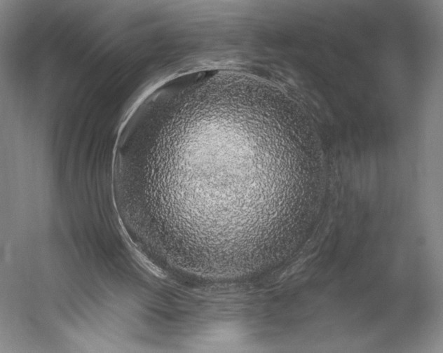 X0000056340052200509091541