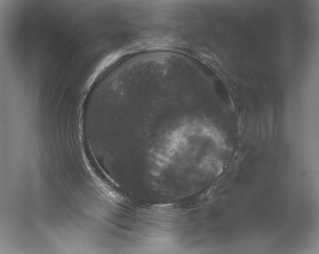 X0000056340054200509091541