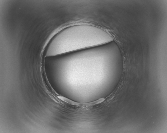 X0000056340056200509091541