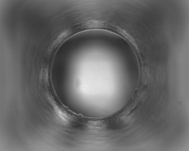X0000056340057200509091541