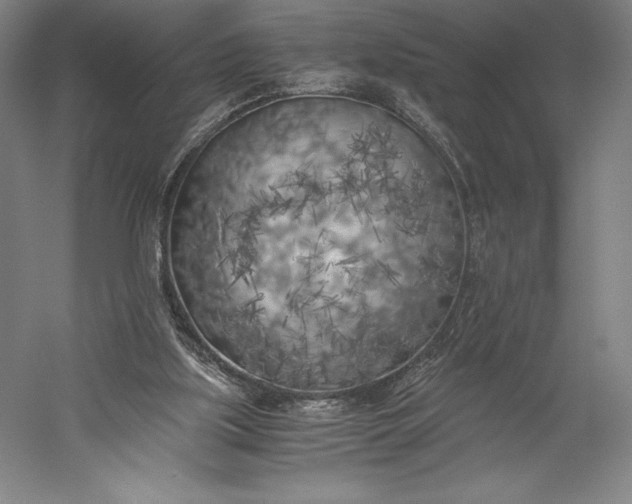X0000056340059200509091541
