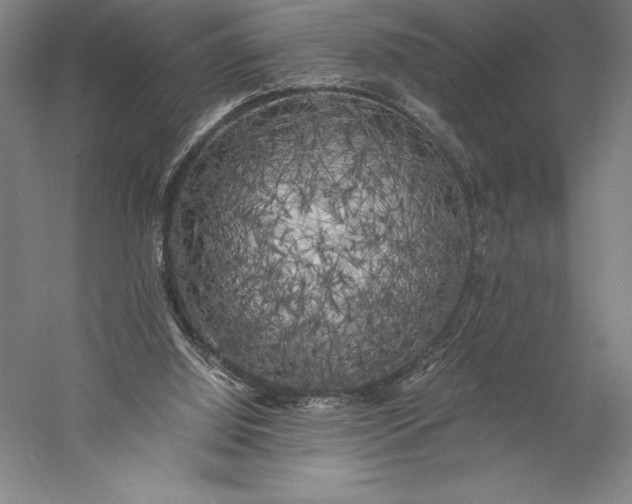 X0000056340060200509091541