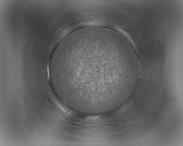 X0000056340061200509091541