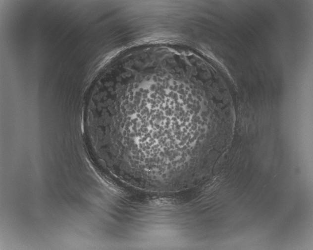 X0000056340062200509091541