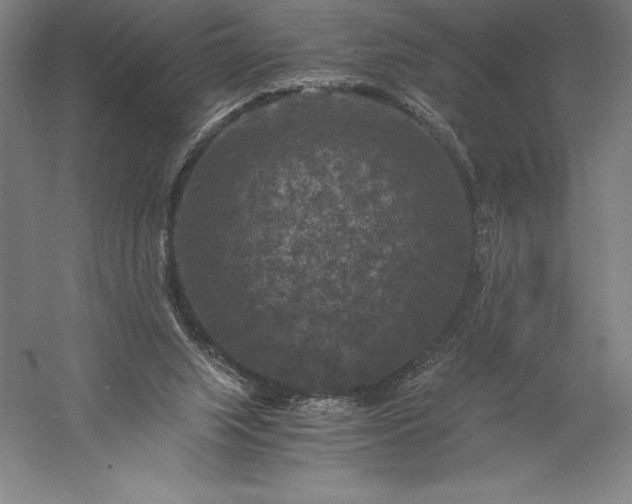 X0000056340063200509091541