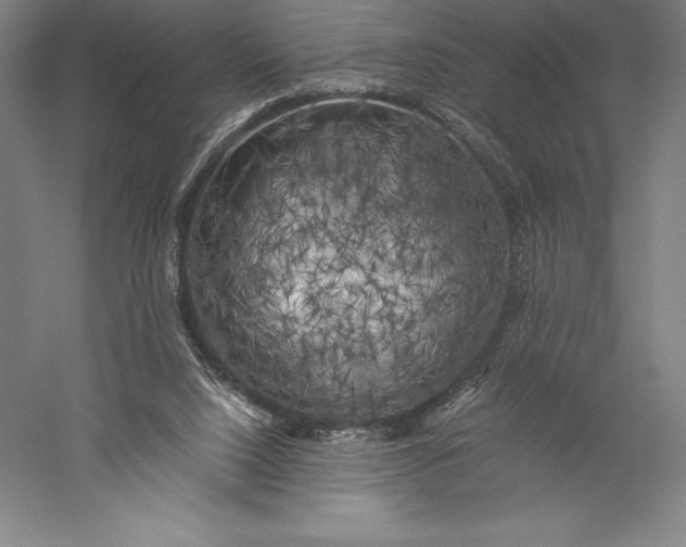 X0000056340064200509091541