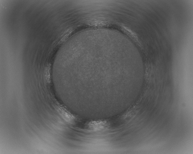 X0000056340065200509091541