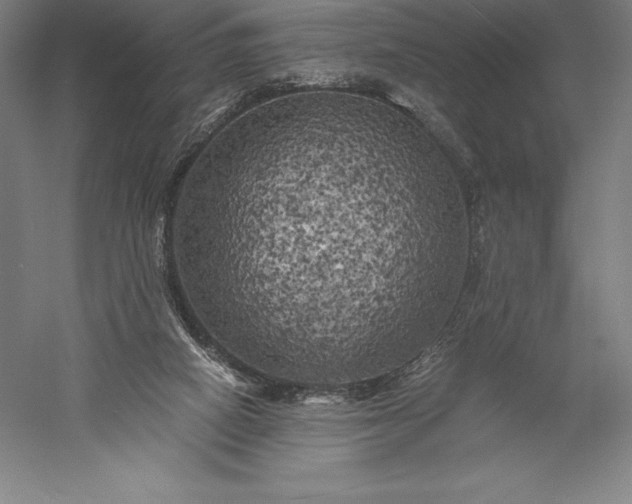 X0000056340066200509091541