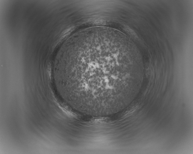 X0000056340072200509091541