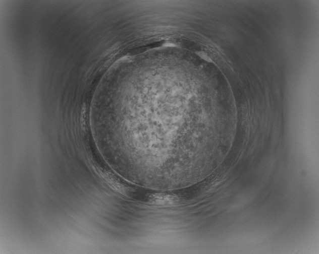 X0000056340073200509091541