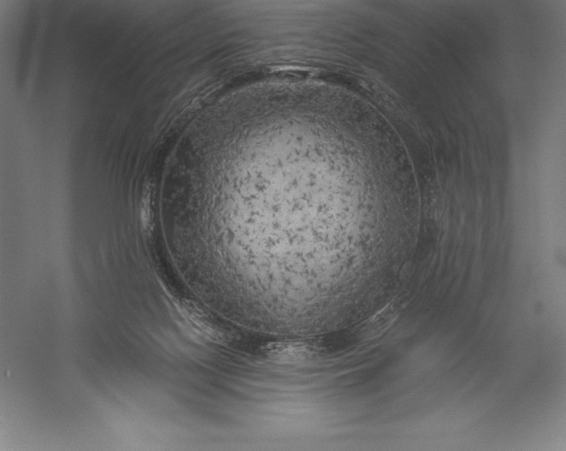 X0000056340074200509091541