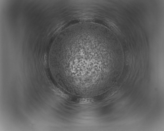 X0000056340077200509091541