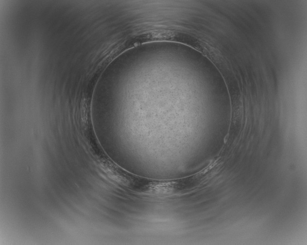 X0000056340078200509091541