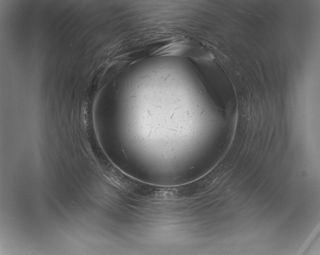 X0000056340080200509091541
