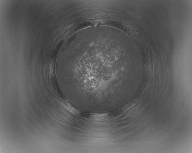 X0000056340081200509091541