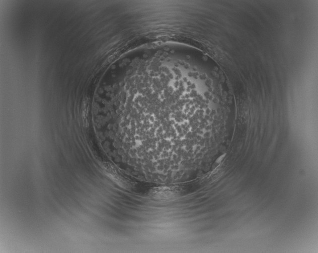 X0000056340082200509091541