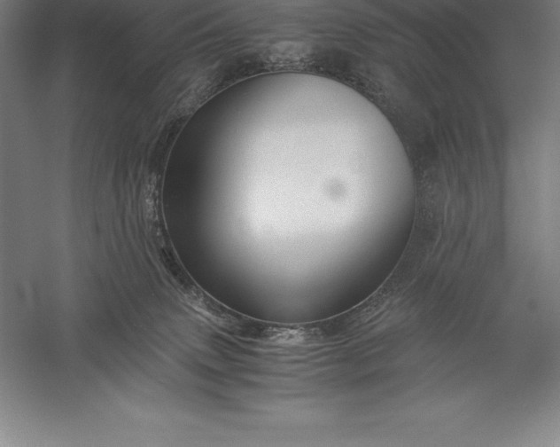 X0000056340083200509091541